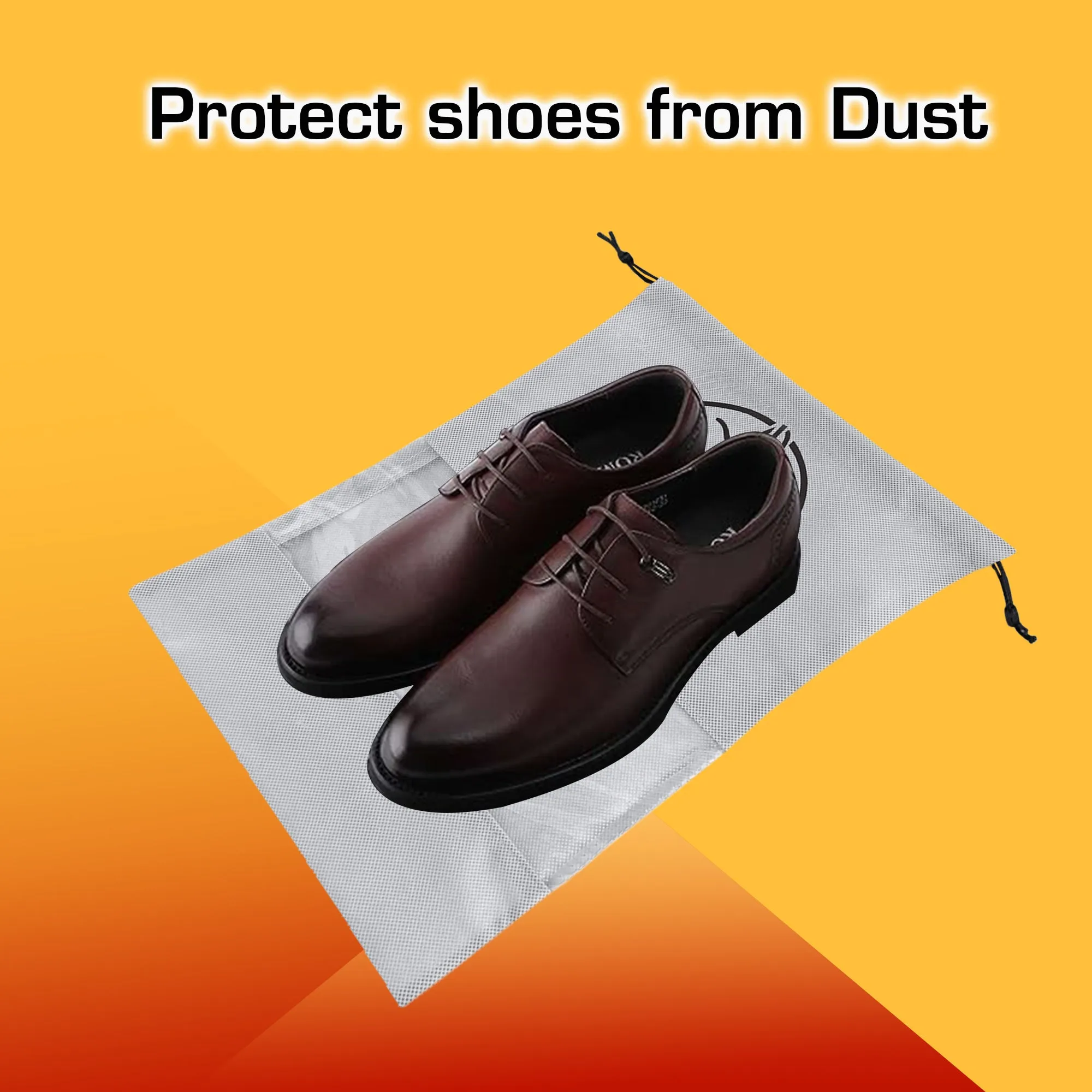 Transparent Shoe Pouch